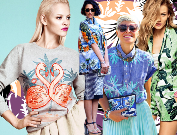 tropical Pattern Report | Tropicalia