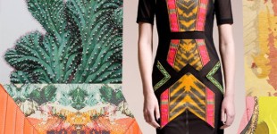 Color | Untamed Desert